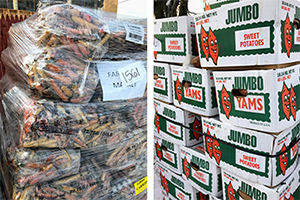ai_foodbank-community Images of food at food bank