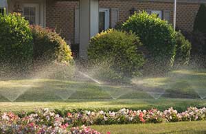Sprinklers watering yard